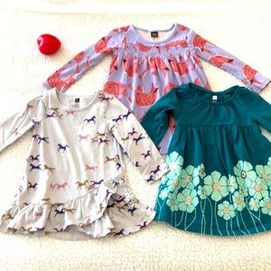 Tea collection 18-24 months dress bundle
